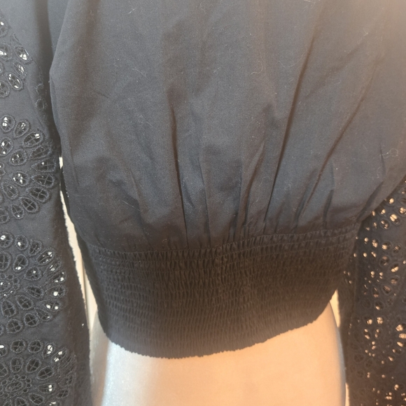 Eyelet Embroidered Balloon Sleeve Plunge V-Neck Cropped Top Black Small - Picture 6 of 8